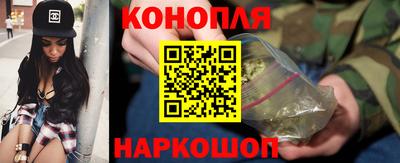 прущие крисы Новозыбков