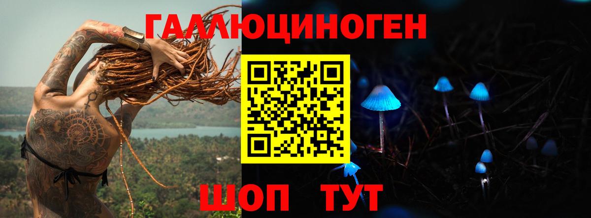 Галлюциногенные грибы GOLDEN TEACHER  Вход с VPN  Урюпинск  купить   Псилоцибиновые грибы MAGIC MUSHROOMS 